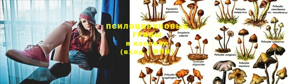 марки lsd Гусиноозёрск