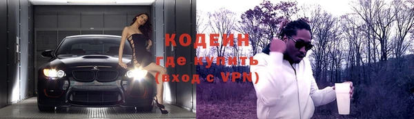 ПСИЛОЦИБИНОВЫЕ ГРИБЫ Гусев