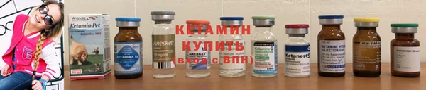 ПСИЛОЦИБИНОВЫЕ ГРИБЫ Гусев