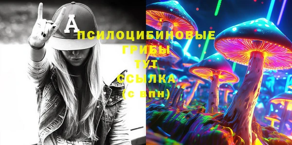 марки lsd Гусиноозёрск