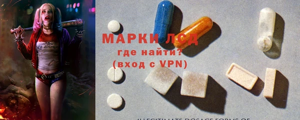 ПСИЛОЦИБИНОВЫЕ ГРИБЫ Гусев
