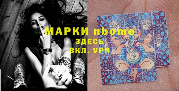 ПСИЛОЦИБИНОВЫЕ ГРИБЫ Гусев